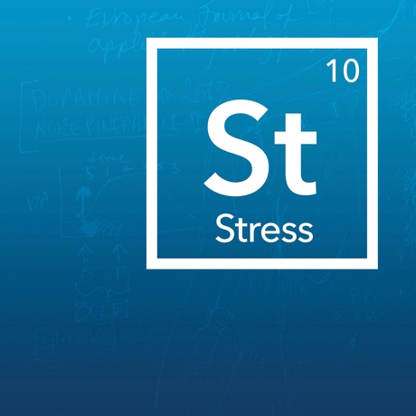 Episode Image for Tools for Managing Stress & Anxiety