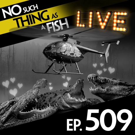 Episode Image for 509: No Such Thing As A Sausage Dog Helicopter