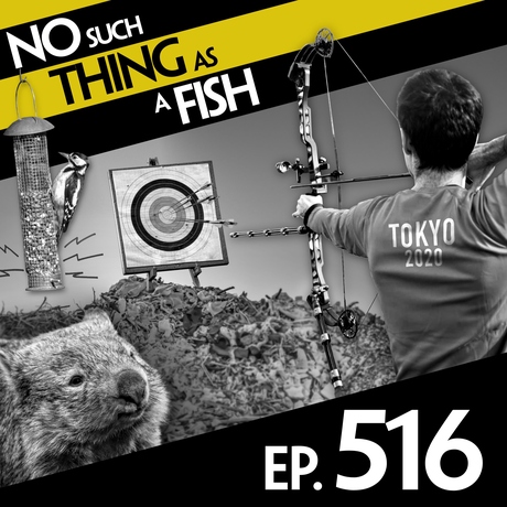 Episode Image for 516: No Such Thing As Zeno's Harbour