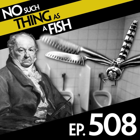 Episode Image for 508: No Such Thing As A Dragon Walk