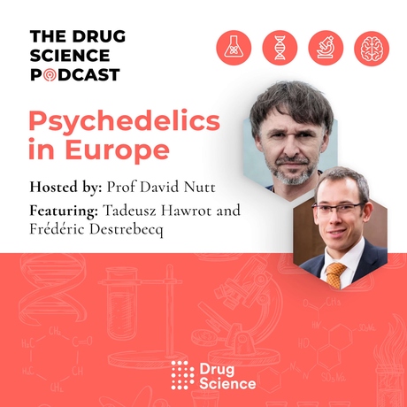 Episode Image for 82. Psychedelics in Europe with Tadeusz Hawrot and Frédéric Destrebecq