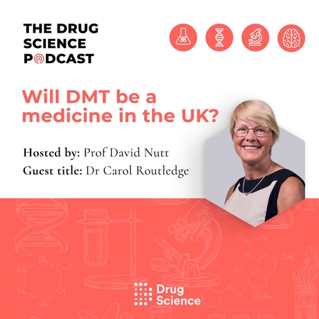 Episode Image for 84. Will DMT be a medicine in the UK? with Dr Carol Routledge