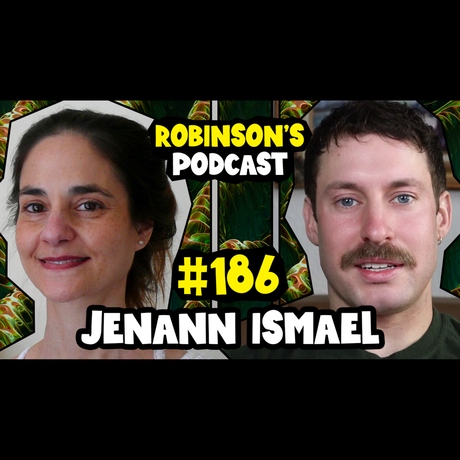 Episode Image for 186 - Jenann Ismael: Determinism and Self-Reference in Classical and Quantum Physics