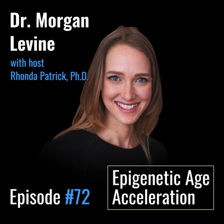 Episode Image for #072 Morgan Levine, PhD, on PhenoAge and the Epigenetics of Age Acceleration — can we change the pace?