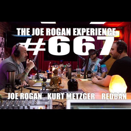 Episode Image for #667 - Kurt Metzger