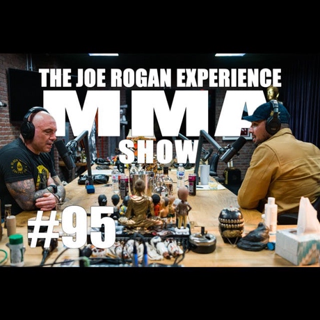 Episode Image for JRE MMA Show #95 with Brendan Schaub