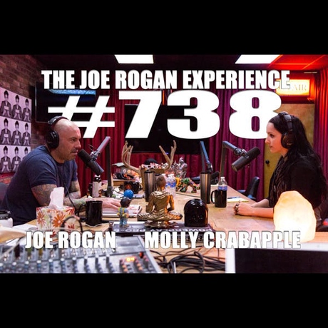 Episode Image for #738 - Molly Crabapple