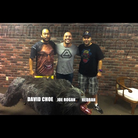 Episode Image for #392 - David Choe