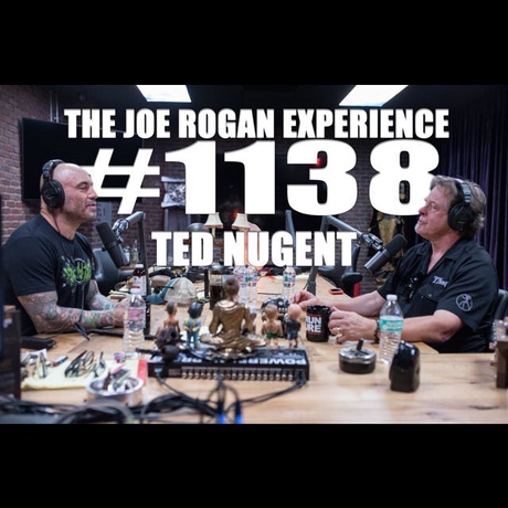 Episode Image for #1138 - Ted Nugent