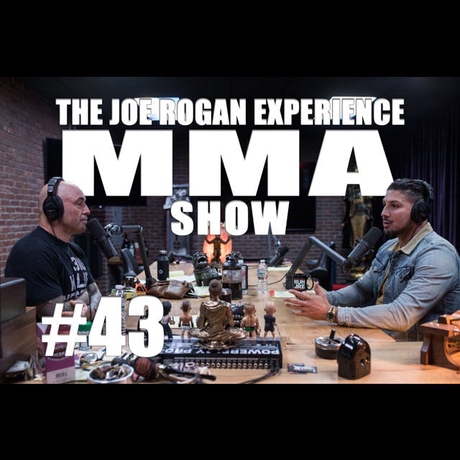 Episode Image for JRE MMA Show #43 with Brendan Schaub