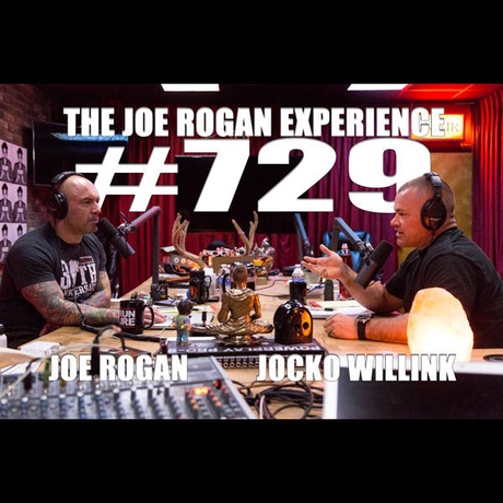 Episode Image for #729 - Jocko Willink