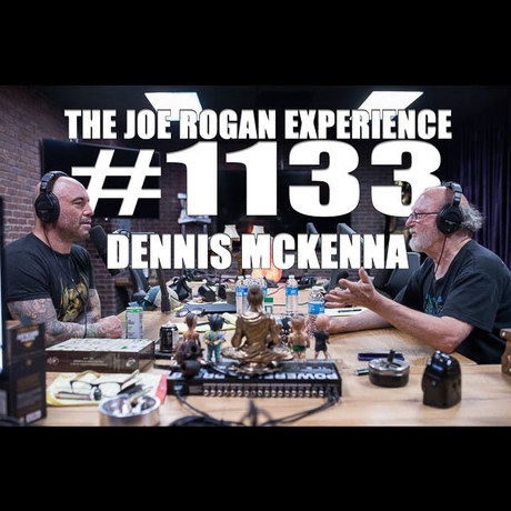 Episode Image for #1133 - Dennis McKenna