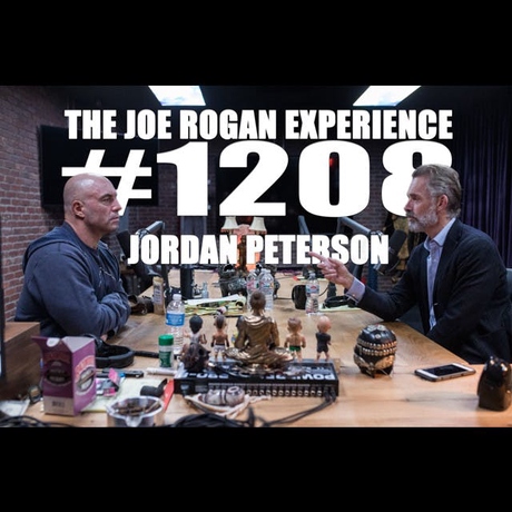 Episode Image for #1208 - Jordan Peterson