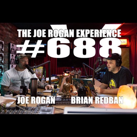 Episode Image for #688 - Brian Redban