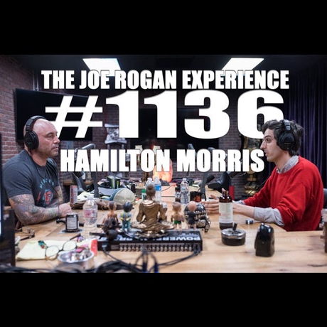 Episode Image for #1136 - Hamilton Morris