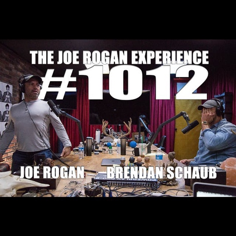 Episode Image for #1012 - Brendan Schaub