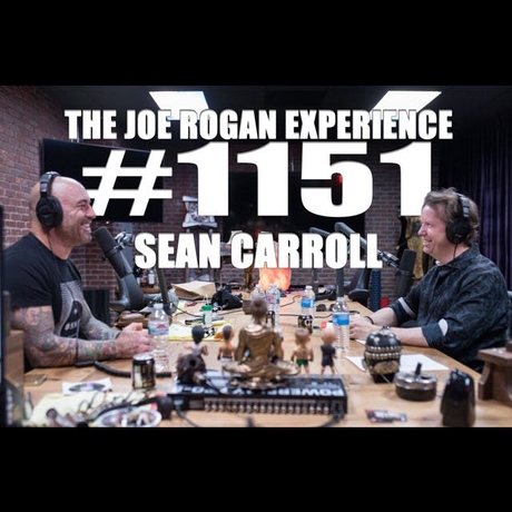 Episode Image for #1151 - Sean Carroll