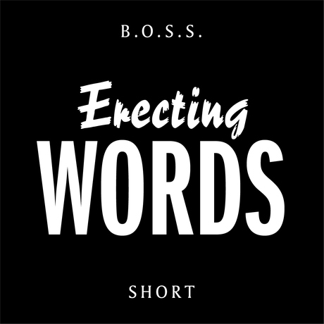 51 - Erecting Words: William H. Gass' Willie Masters' Lonesome Wife